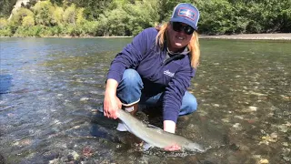 While sheltering in place, we got out and did some steelhead fishing on the Eel River.