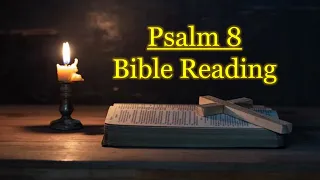 Psalm 8 Audio Bible Reading || NIV