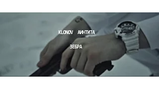 klonov x Аинтита - Зебра