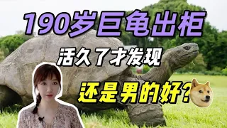 给190岁龟爷爷找对象，同床26年才发现对方是公的