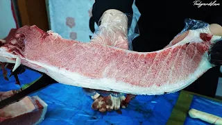 참다랑어 참치 손질 - Fish cutting Bluefin Tuna / Korean street food