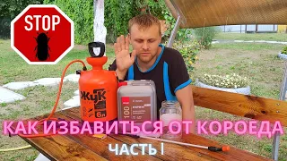 Как избавиться от жука короеда, шашеля, древоточца. STOP Жук.  Часть 1.