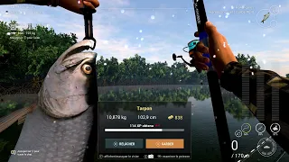 fishing planet everglades tarpon