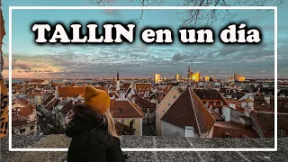 ¿ Qué ver en TALLIN - Estonia en un día ?