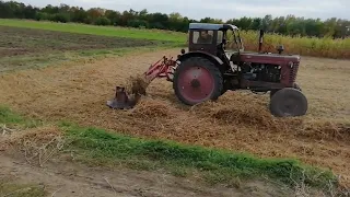 Ніндзя рубає сою. Не пали солому.