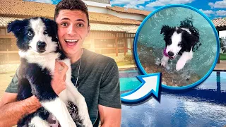 MEU CACHORRO CONHECEU A ELO HOUSE | O MUNDO DE SIMBA #5