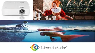 BenQ W1090- FHD Home cinema projector