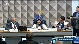 Povos indígenas | ministra destaca ações da pasta e medidas para crise Yanomami