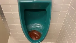 Boscov’s Men’s bathroom with Green Eljer Signature urinals!