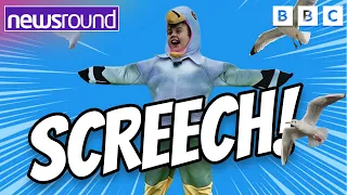 How does 'Seagull Boy' make those screeching sounds? | Newsround