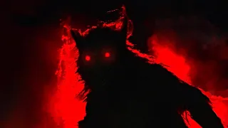 The Michigan Dogman. A horror that shouldn't have been true