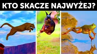 Kto skacze najwyżej na świecie