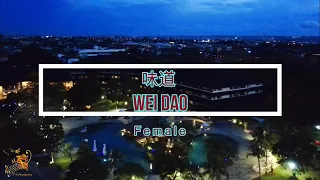 味道 (Wei Dao) Female Version - Karaoke mandarin with drone view