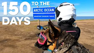 This DOG rides a MOTORCYCLE around the world!