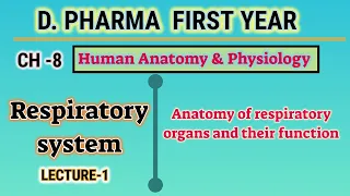 Anatomy and function of respiratory organs | CH-8 | L-1 | Respiratory system | D.Pharm first year