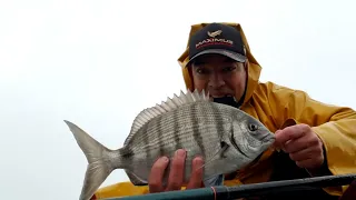 TUTO Pêche montage flotteur pour les gros sars et sortie avec cette technique :)