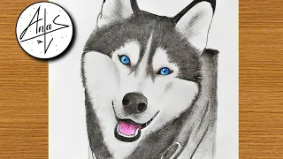 How To Draw A Husky Dog |  Sketch Tutorial (step by step )