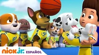 PAW Patrol, Patrulla de cachorros | Los cachorros juegan al baloncesto | Nick Jr. en Español