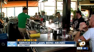 service dog laws