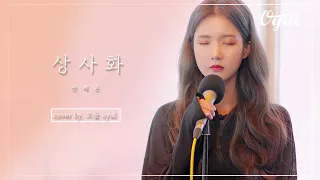 안예은-상사화 COVER by OYUL(오율)(ENG SUB)