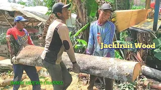 Gotong royong menggergaji belahan kayu nangka di buat papan dengan hasil yang sangat istimewa