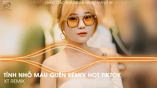 Tình Nhỏ Mau Quên Remix - Hôm Nao Hoa Phượng Nở Về Quê Ghé Thăm Nhà Em - BOLERO REMIX Trend Tiktok