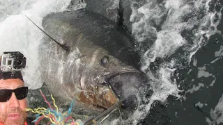 Rebecca C Bluefin Tuna fishing