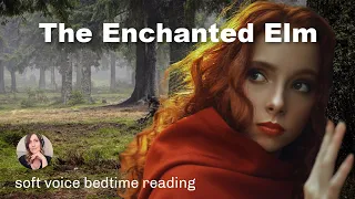 THE ENCHANTED ELM - Restful Bedtime Story for Sleep & Relaxation / Soothing Narration