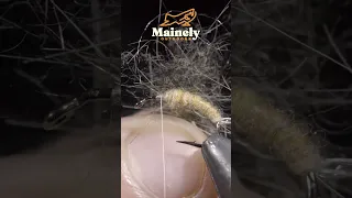 Making a Maggot!