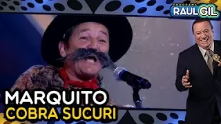 Marquito - "Cobra Sucuri" (Programa Raul Gil)