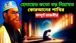 হেদায়েত কতো বড় নিয়ামত | allama delwar hussain saidi waz | delwar hossain sayeedi #দেলোয়ার #waz