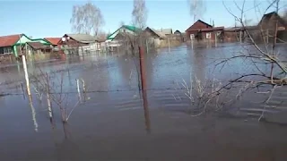 паводок 2018 г. Петровск Саратовская область