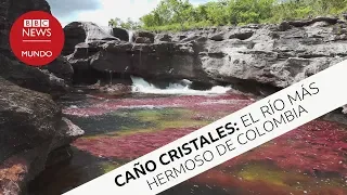 Caño Cristales, el río más hermoso de toda Colombia