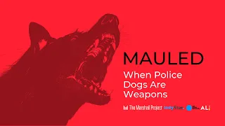 MAULED: When K9 police dogs are used as weapons