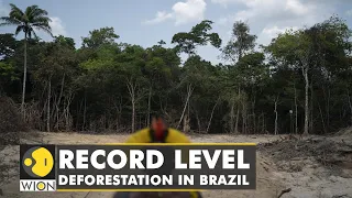 Rampant deforestation in Brazil's Amazon | Lungs of the planet in danger | WION Climate Tracker