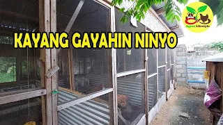 MINI FARM  NA PWEDING GAYAHIN