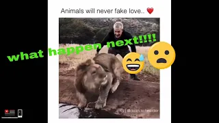 Forget stress and laugh hard!!!the funniest animals videos!!!!!