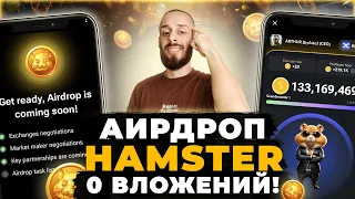 HAMSTER KOMBAT - КАК ЗАРАБОТАТЬ И ПОЛУЧИТЬ АИРДРОП ДО ЛИСТИНГА | NOTCOIN АНАЛОГ