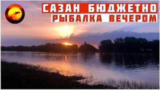 БЮДЖЕТНАЯ ЛОВЛЯ САЗАНА / РЫБАЛКА НА КУКУРУЗУ