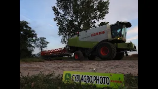 Claas Lexion x 6 -zjazd z pola po pracy - żniwa 2020