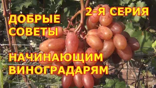 ч.2. Добрые советы начинающим виноградарям.2 я серия