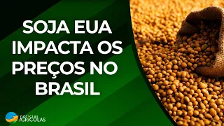 A Safra de Soja nos EUA em Julho e sua Influência nos Preços Brasileiros