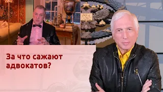 За что сажают адвокатов?