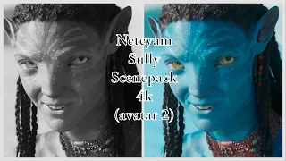 Neteyam Sully | Avatar 2: The Way Of Water | Scenepack | 4K
