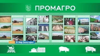 «ПРОМАГРО». Презентационный фильм