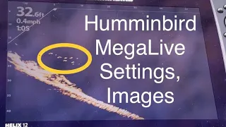 Humminbird MegaLive Settings and Images