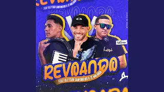 Revoando