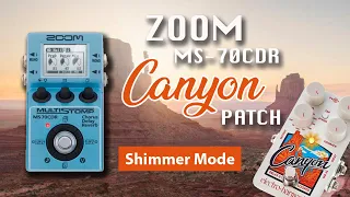 Amazing 🏔️CANYON DELAY🏔️  Zoom MS-70CDR (shimmer mode)