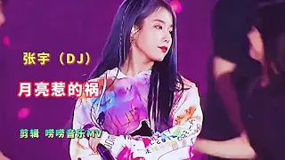 经典老歌，张宇一首劲爆DJ《月亮惹的祸》动感强劲，唯美动听…