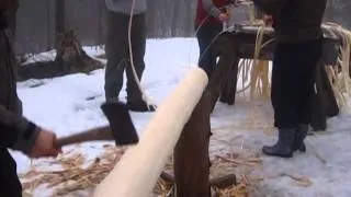 Black Ash Log Pounding for basketry